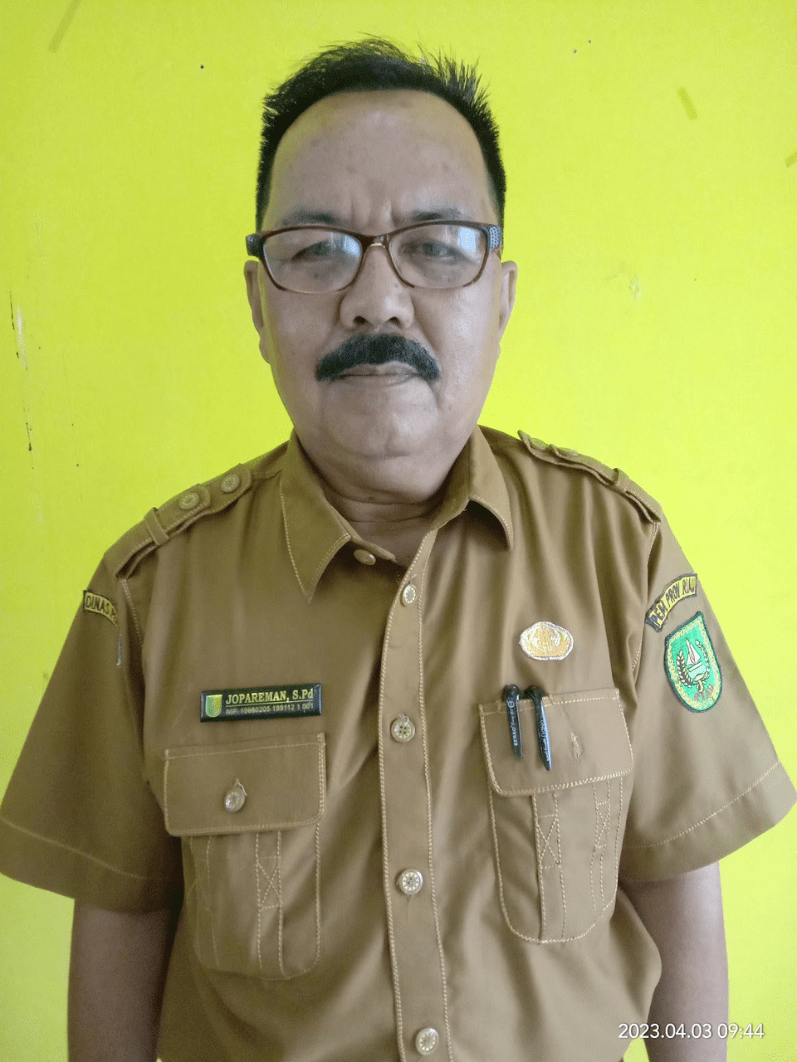 Jopareman, S.Pd